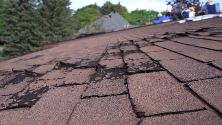 Best Asphalt Shingles Roofing  in Missouri City, TX