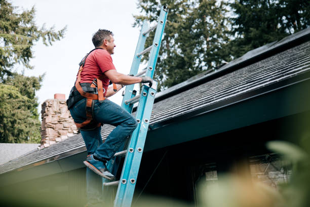 Best Roof Moss and Algae Removal  in Missouri City, TX